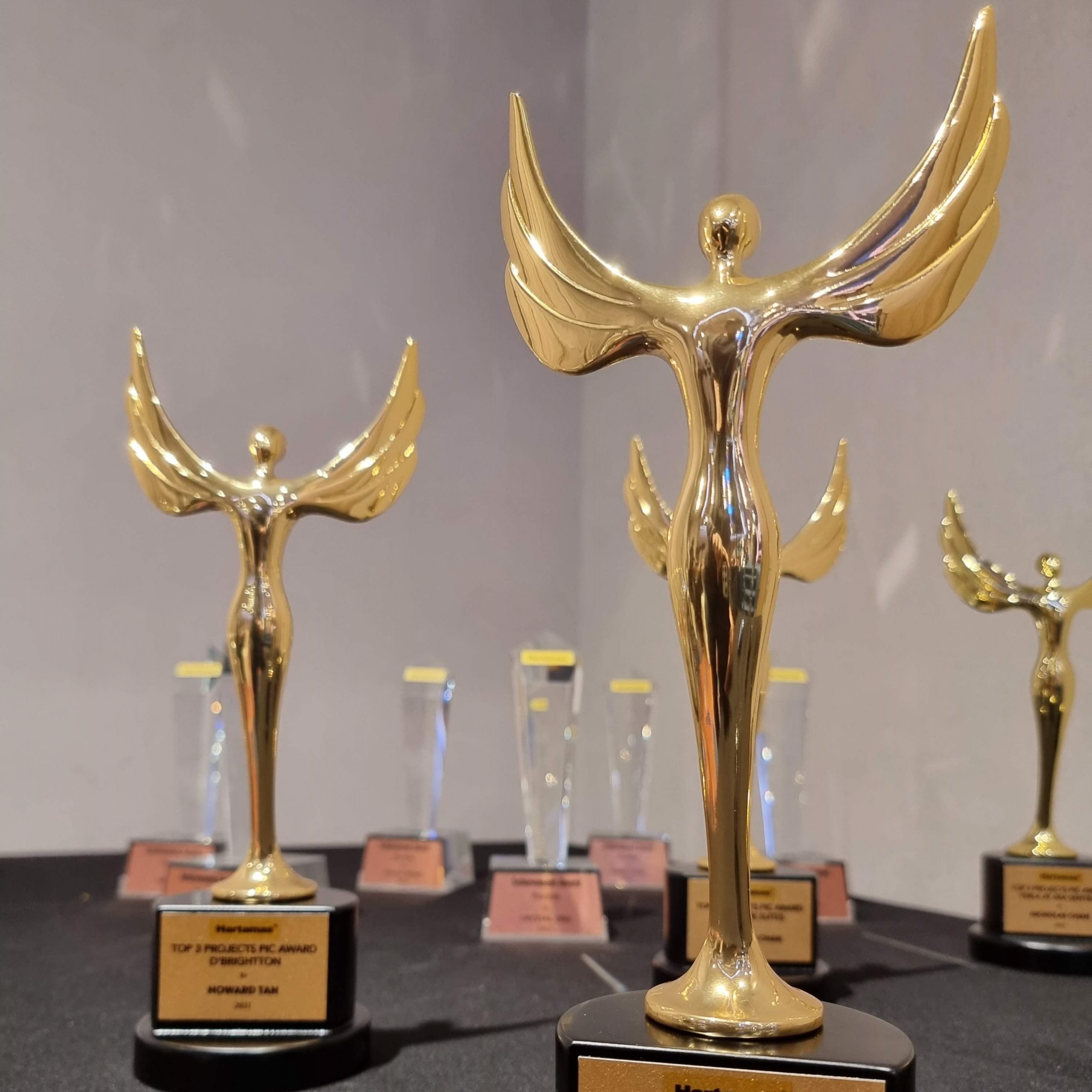 Custom made Merchandise/Trophy.